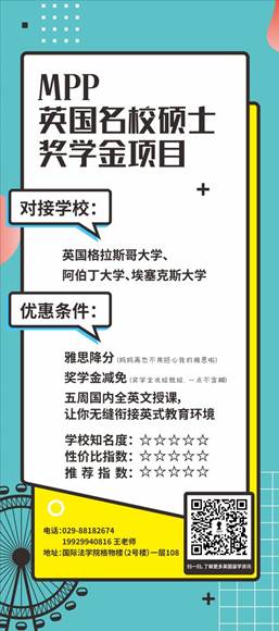MPP项目